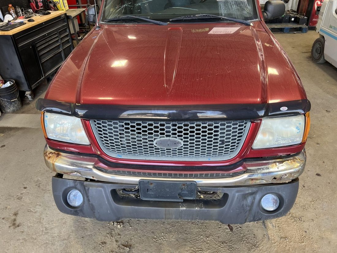 Hood for Ford Ranger (T6/T7)